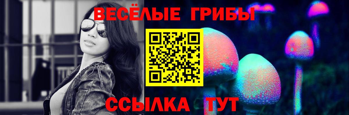 Псилоцибиновые грибы Psilocybe  Вход с VPN  Наро-Фоминск 